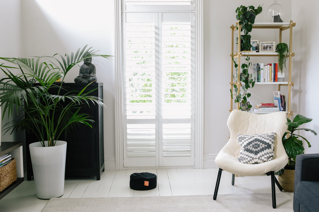 The BODHi — Black